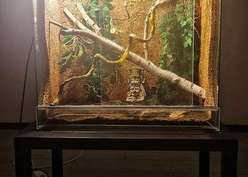 Sprzedam Terrarium szklane 80 × 39,6 × 85 cm + 2 lampy UVB