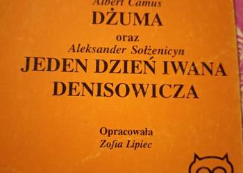 Dżuma Jeden dzień Biblioteka Analiz Literackich okazy szkoła