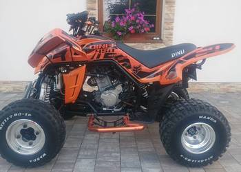 Quad Dinli 450 polaris 500