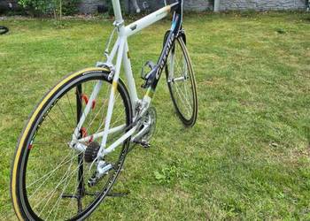 Rower szosowy Gazelle Primavera 28" | Szosa | Klasyk | [Wpisz np. Shimano S