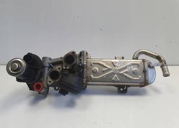 Audi A3 II 8P 1.6 TDI CHŁODNICA SPALIN egr 03L131512AT