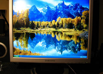 Monitor Samsung 920N SyncMster 19" z okablowaniem
