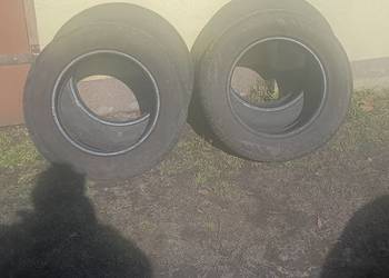 Opony letnie Grenlander X4 195/65R15