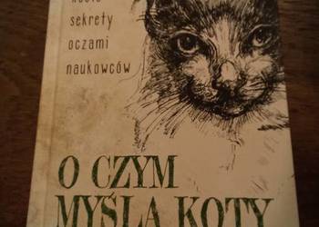 O czym myślą koty