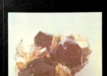 GEOLOGIA NA SZLAKU - MIZERSKI WŁODZIMIERZ