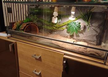 Terrarium z wyposażeniem 100x40x40