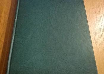 Rozwiązywanie problemów / Józef Kozielecki TWARDA