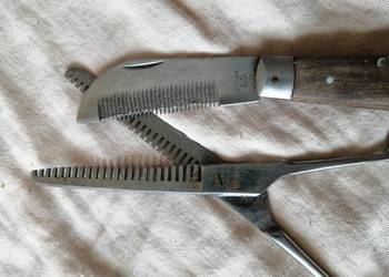 nożyczki degażówki dla konia +gratis