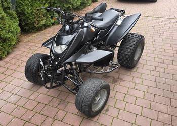 Quad 250 shinray zarejestrowany