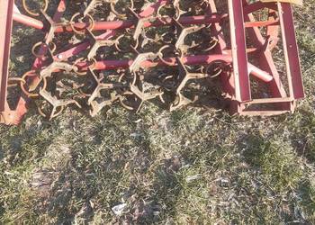 Włóka łąkowo polowa