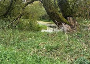 Działka Tarnów Wilga