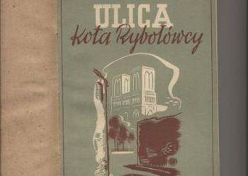 Ulica Kota Rybołówcy - Foldes Ulica Kota Rybołówcy - Foldes