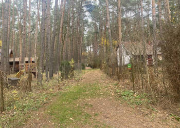 Działka leśna Joniec nad rzeką Wkrą