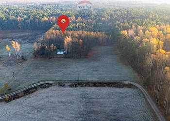 4 hektary wolności pod Warszawą, Ostrowik