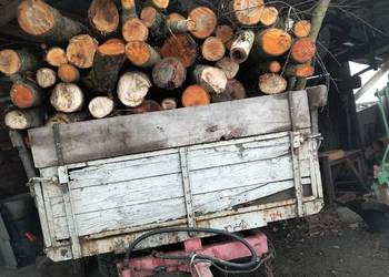 Sprzedam drzewo na opał