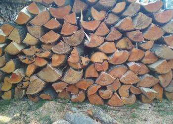 Drewno na ognisko lub do wędzenia