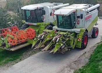 Przystawka do kukurydzy claas 6x75 multimaster conspeed geringhoff  capello