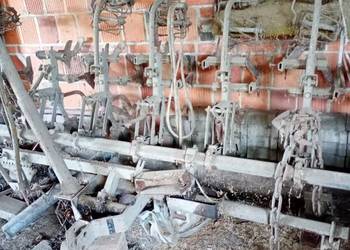 Opielacz do warzyw buraków Opielacz do warzyw buraków