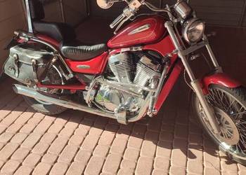 Suzuki Intruder 800