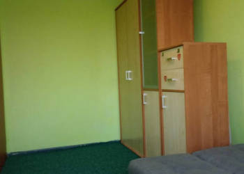Wygodny, słoneczny pokój od zaraz, w Katowice- Piotrowice. Wygodny, słoneczny pokój od zaraz, w Katowice- Piotrowice.