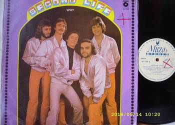 2.+ Pop ; SECOND LIFE--WHY ;LP winyl.