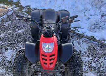 QUAD 125 1+1 WSTECZNY BIEG BIGFOOT PANTHERA MOCNY ZRYWNY REGULACJA MOCY