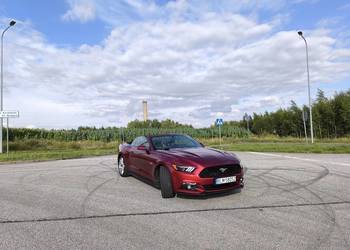 Ford Mustang GT cabrio 50 lecie 2015 rok