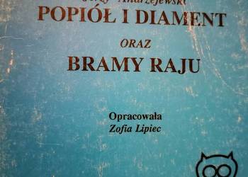 Popiół i diament Bramy raju analiz literatury polskiej Praga
