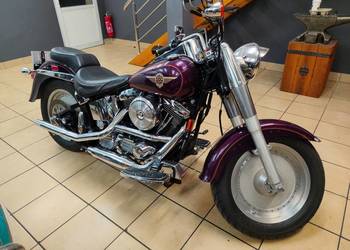 Harley fat boy evo