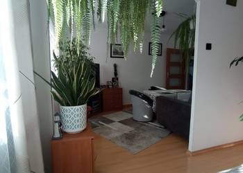 Mieszkanie w centrum miasta