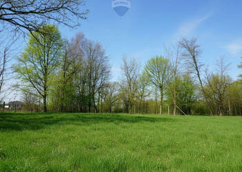 Działka budowlana z potencjałem – Jejkowice