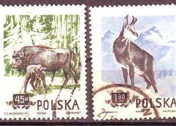 Zn. F 743, 5 kas 1954