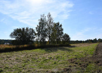 Działka rolno-budowlana 43a - Strażów