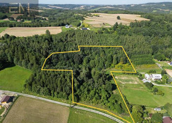 Działka Dobrzechów 13100m2