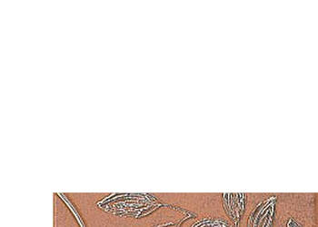 Listwa Carlita ochra 6 x 20, Paradyż, płytlki, kafelki, listwy