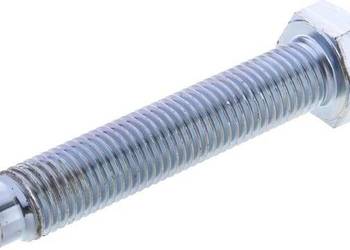 Śruba M20x110 1117720040