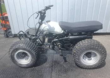 Quad 50 suzuki