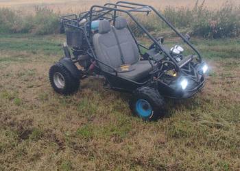 Buggy sprzedam zamienię