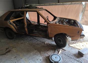 Polonez borewicz