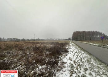 Ziemia do sprzedania Śladków Duży 43100m2