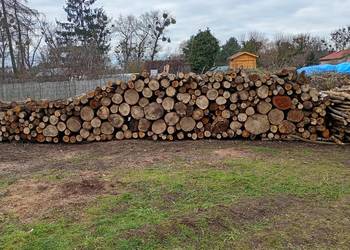 Drewno opałowe liściaste