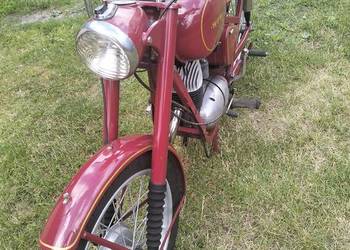 WFM 1964r.