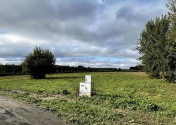 Bezpośrednio działka 3000 m z WZ, blisko DK50