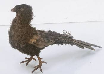 Figurka - Ptak Bażant - Srebro pr.925