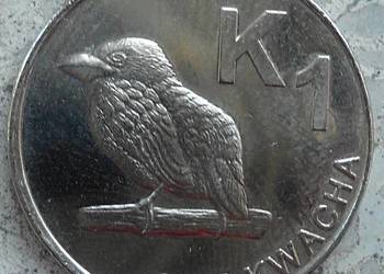 ZAMBIA-ONE KWACHA-2012 r (PTAK)