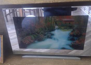 obraz elektryczny z muzyką ptaków