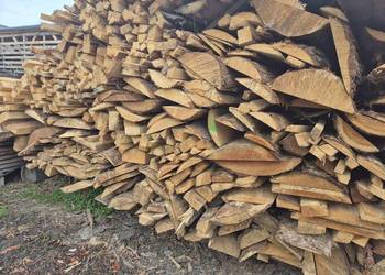 Obrzynki Tartaczne Tanio!