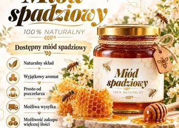 100% NATURALNY MIÓD SPADZIOWY