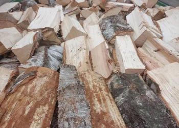 Grab, dąb, brzoza – drewno kominkowe i opałowe | Łódź i okolice