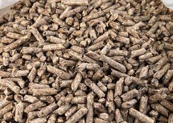 Pellet drzewny sosnowy A1 w workach 15 kg, transport w cenie